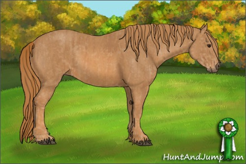 Horse Color: Chestnut  Brindle