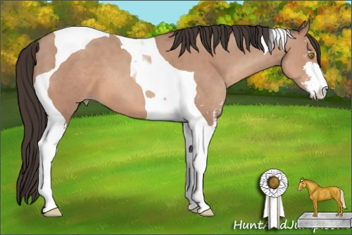 Horse Color: Sable Champagne Sabino Tobiano 