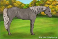 Horse Color:Silver Black 