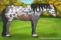 Horse Color:Brown Ice 