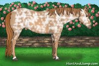 Horse Color:Chestnut Ice 