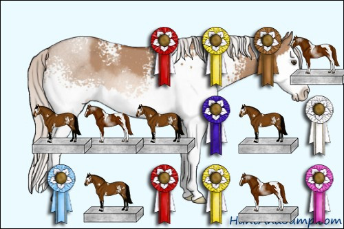 Horse Color: Unknown 