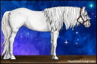 Horse Color:Gray Silver Amber Cream Champagne Roan Dun Splash Tobiano Frame Appaloosa Rabicano 
