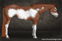 Horse Color:Liver Chestnut Frame 