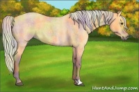 Horse Color:Nacre Silver Buckskin Roan 