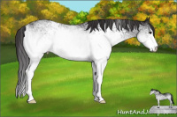 Horse Color:White Spotted Smoky Black 