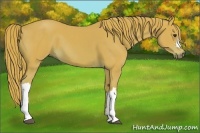 Horse Color:Watercolor Chestnut 