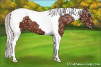 Horse Color:Silver Bay Ice Tobiano