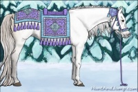 Horse Color:Gray Silver Bay Dun 