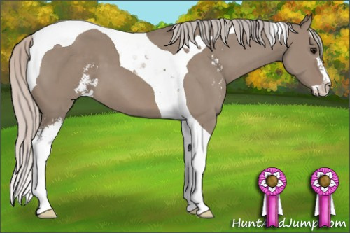 Horse Color: Silver Grullo Sabino Tobiano 