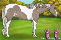 Horse Color:Silver Grullo Sabino Tobiano 