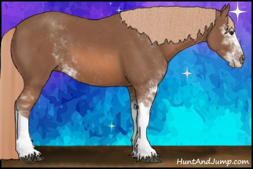 Horse Color: Liver Chestnut Sabino 
