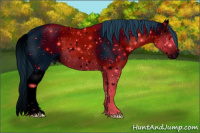 Horse Color:ERROR: UNKNOWN ANOMALY