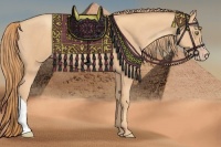 Horse Color:Gold Champagne 