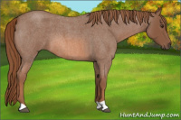 Horse Color:Liver Red Roan 