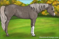 Horse Color:Silver Black 
