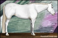Horse Color:Buckskin Splash Near Fewspot 