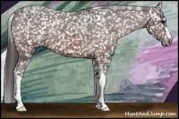Horse Color:Bay Snowcap 