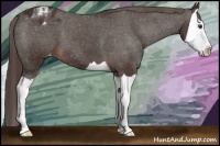 Horse Color:Liver Chestnut Splash Varnish 