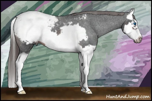 Horse Color: Brown Splash Frame Snowcap 