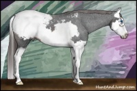 Horse Color:Brown Splash Frame Appaloosa