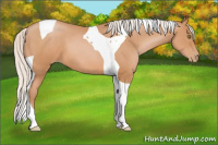 Horse Color:Silver Bay Pearl Tobiano
