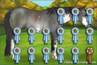 Horse Color:Black Sabino Rabicano 