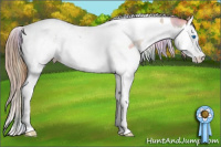 Horse Color:Nacre Red Dun Roan Splash Tobiano Snowcap 