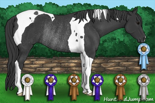 Horse Color: Black Tobiano Rabicano 