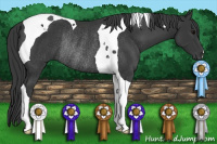 Horse Color:Black Tobiano Rabicano