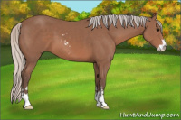 Horse Color:Silver Black Sabino 