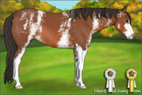 Horse Color:White Spotted Bay Sabino 