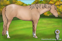 Horse Color:Liver Chestnut Pearl