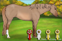 Horse Color:Liver Red Dun 
