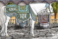 Horse Color:Gray Silver Amber Cream Champagne Roan Dun Splash Tobiano Frame Appaloosa Rabicano 