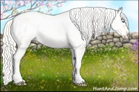 Horse Color:Palomino Roan Pearl Dun Appaloosa