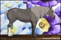 Horse Color:Silver Black 