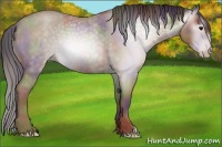 Horse Color:Gray Nacre Classic Champagne Roan 