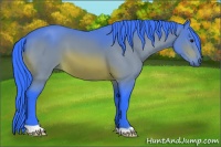 Horse Color:Watercolor Bay 