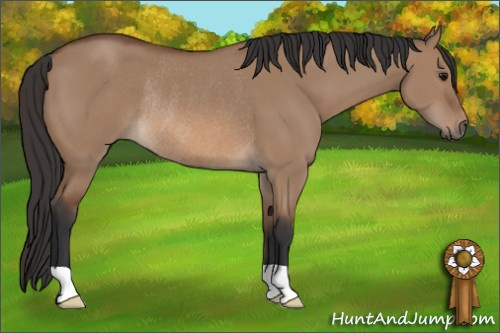 Horse Color: Bay Dun Rabicano 