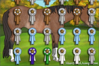 Horse Color:Bay Rabicano 