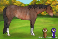 Horse Color:Brown Rabicano 