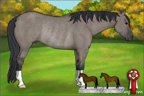 Horse Color: Grullo Rabicano 