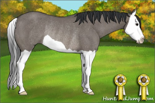 Horse Color: Grullo Splash Rabicano 