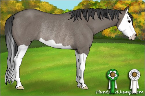 Horse Color: Grullo Splash Rabicano 