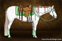 Horse Color:Bay Pearl Dun Sabino Rabicano 