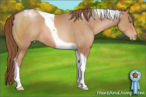 Horse Color: Brown Pearl Tobiano 