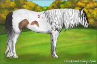 Horse Color:Brown Splash Tobiano 
