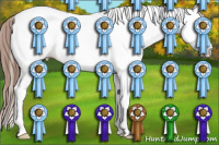 Horse Color:Amber Champagne Splash Appaloosa 