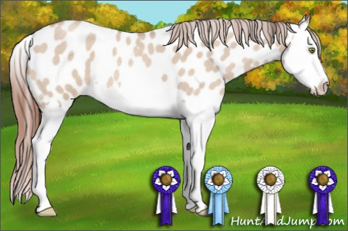 Horse Color: Amber Champagne Roan Dun Splash Near Leopard 